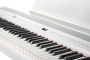 Цифровое пианино Becker BSP-102W