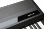 Цифровое пианино Kurzweil MPS110
