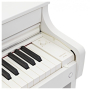 Цифровое пианино Casio Celviano AP-300WE