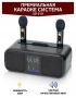 Караоке система с двумя радиомикрофонами SDRD SD 318 Dark Blue