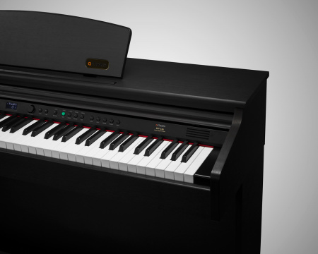 Цифровое пианино Artesia DP-10E Rosewood