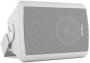 Громкоговоритель настенный CVGaudio NF5TW