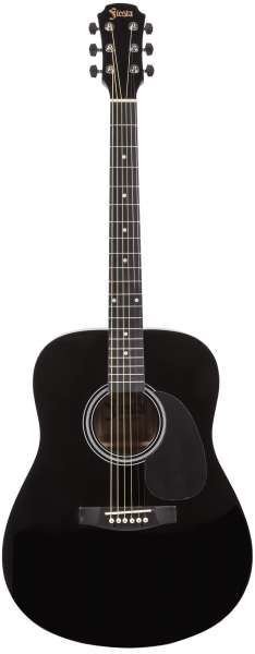 Гитара акустическая ARIA FIESTA FST-300 BK