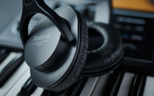 Студийные наушники Roland RH-5
