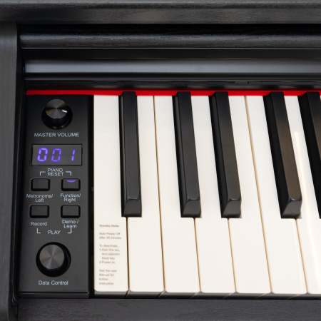 Цифровое пианино Rockdale Etude 128 Graded Black