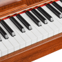 Цифровое пианино EMILY PIANO D-47 N