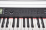 Цифровое пианино Grand Sound GS-X120 WH
