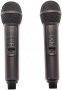 Караоке система с двумя радиомикрофонами  SDRD SD-319 Emerald Green